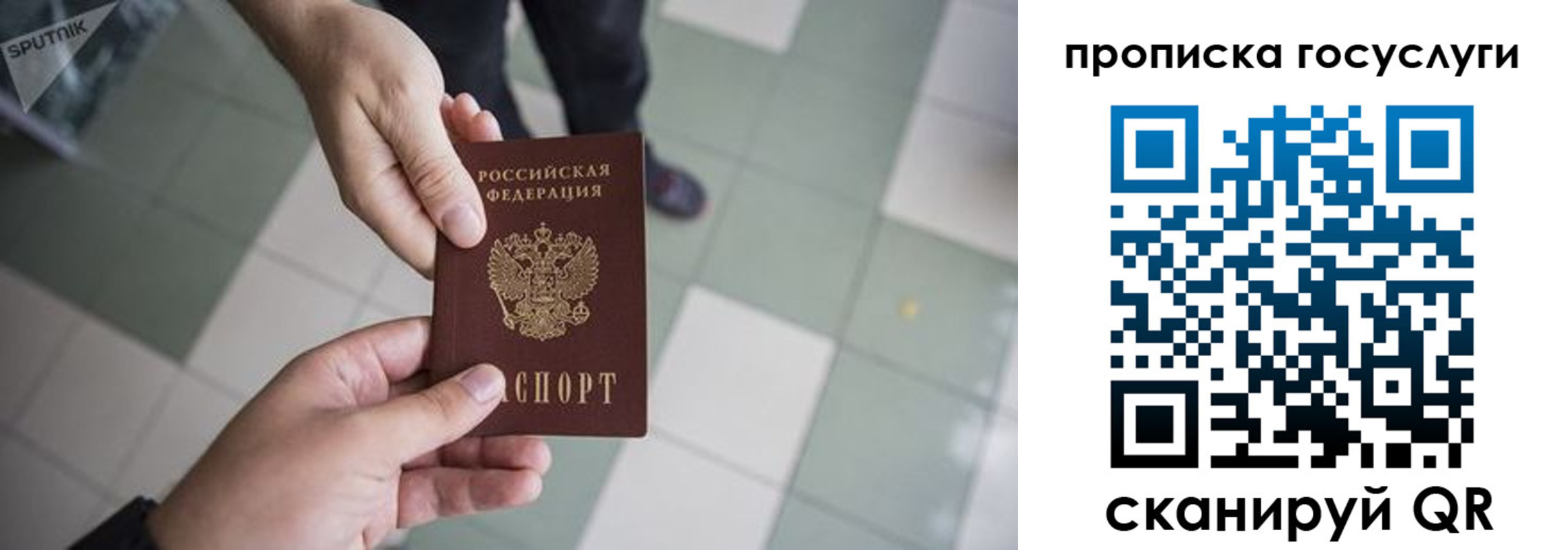 временная регистрация для всех в Зее